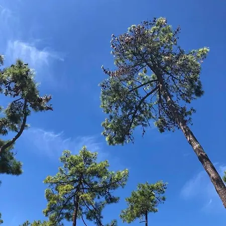 Maeva Club Les Preveils Кемпинг 4*