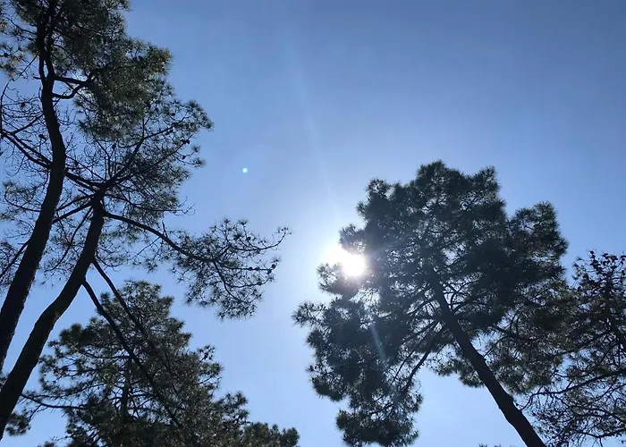 Maeva Club Les Preveils 4* 라트슈수르메르